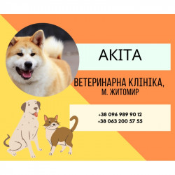"Акіта" Ветеринарна...