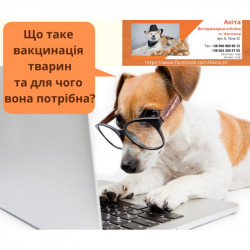 "Акіта" Ветеринарна амбулаторія Житомир