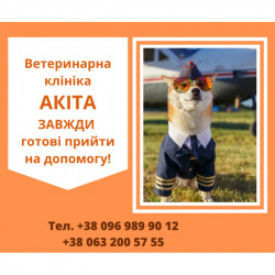 "Акіта" Ветеринарна амбулаторія Житомир